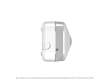 Указатель световой BS-JUNIOR-10-S1-ELON централиз. электропитания Белый свет a18919