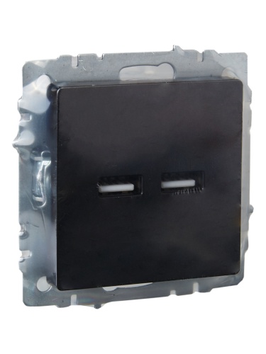 Розетка BRITE USB A+A 3.1А РЮ10-1-БрЧ черн. | код. BR-U21-D31-K02 | IEK фото 3 Розетка BRITE USB A+A 3.1А РЮ10-1-БрЧ черн. | код. BR-U21-D31-K02 | IEK фото 3