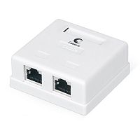 Cabeus WS-8P8C-Cat.5e-SH-2 Розетка компьютерная RJ-45(8P8C), категория 5e, экранированная, двойная, внешняя, Dual IDC | код 7486c | Cabeus
