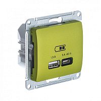GLOSSA USB РОЗЕТКА А + тип-С 45Вт высокоскор.заряд. QC, PD, мех., ФИСТАШКОВЫЙ | код GSL001029 | Systeme Electric