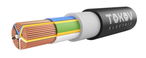 Кабель ППГнг(А)-HF 5х70 МС (N PE) 1кВ | код Т20195 | TOKOV ELECTRIC