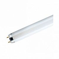 Лампа линейная люминесцентная ЛЛ L 32W/840 C G10Q 12X1 | код. 4008321581143 | OSRAM