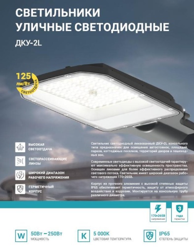 Светильник уличный линзованный светодиодный ДКУ-2L 70Вт 230В 5000К 8750лм 125лм/Вт 42-48мм IP65 NEOX 4690612057088 Светильник уличный линзованный светодиодный ДКУ-2L 70Вт 230В 5000К 8750лм 125лм/Вт 42-48мм IP65 NEOX 4690612057088