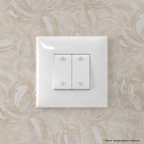 Инвертор 2-кл. СП "Avanti" "Белое облако" | код. 4400124 | DKC фото 6