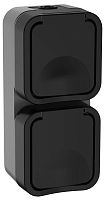 Розетка 2-м ОП TORS 16А IP55 TS132 вертик. с заземл. с крышкой графит | код TS-R26-16-55-V-K53 | IEK