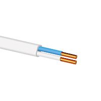 Провод ППВГ 2х2.5 (бухта 100м), белый ТDM | код SQ0129-0002 | РЭМЗ ТМ