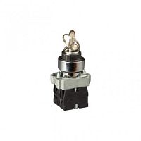 Переключатель в металлическом корпусе с ключом 0-1 IP44 | код SW-2-BG21 | Engard