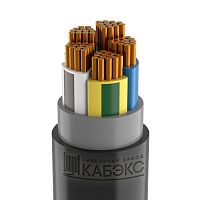 Кабель ППГнг(А)-HF 5х95 МС (N PE) 1кВ | код ТХМ00375540 | Кабэкс ( 1м )