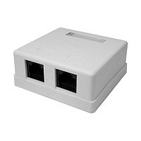 Розетка компьютерная 2-м 8P8C (RJ-45) UTP кат.5E | код 10-0309 | SUPRLAN