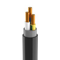 Кабель ППГнг(А)-HF 3х10 ОК (N PE) 0.66кВ | код ТХМ00194095 | Кабэкс ( 1м )