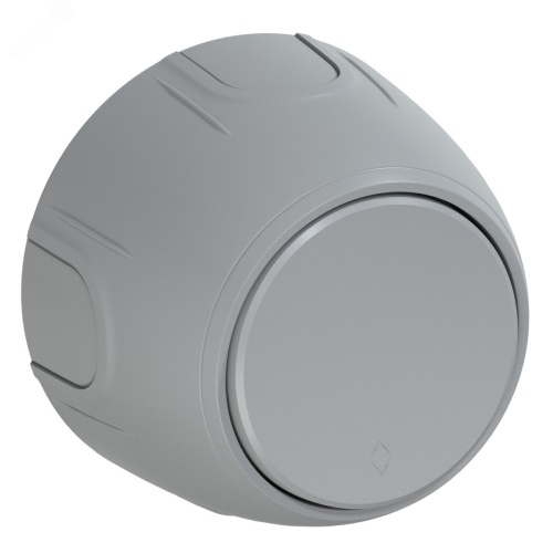 Переключатель одинарный Rotondo, цвет серый | код 7700954 | OneKeyElectro