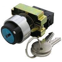 Ключ выключатель RUICHI 3SA8-BG21, 2 положения, NO, 3 А, 240 В, IP40, винтовой зажим | код 71612 | Ruichi