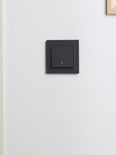 BRITE Рамка 1-местная IP44 РУ-1-БрГ-44 графит | код BR-M12-44-K53 | IEK фото 4