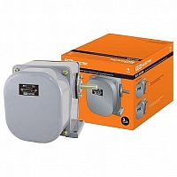 Выключатель концевой ВУ-250М У2, две комм² тационные цепи, IP44 | код. SQ0732-0025 | TDM