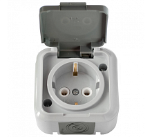 Беларусь Розетка с заземлением наружная IP54 | код. Розетка РА16-297(03) | БелТИЗ