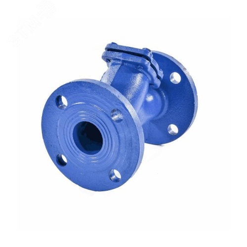 Фильтр чугунный магнитный сетчатый Y-обр Ду 65 Ру16 фланцевый ФМФч | код 036-1266 | КНР