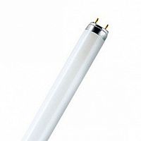 Лампа линейная люминесцентная ЛЛ L 36W/865 25X1 | код. 4008321581433 | OSRAM