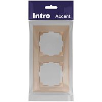 Рамка для розеток и выключателей Intro Accent 6-502-04 на 2 поста, СУ, шампань | код Б0063758 | ЭРА