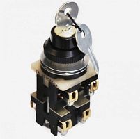 Выключатель кнопочный КУ-220161 | код A8119-80080218 | ЧЭАЗ