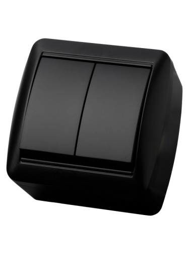 Выключатель 2-кл. открытой установки IP44 10А графит Селигер TDM | код SQ1818-0302 | TDM