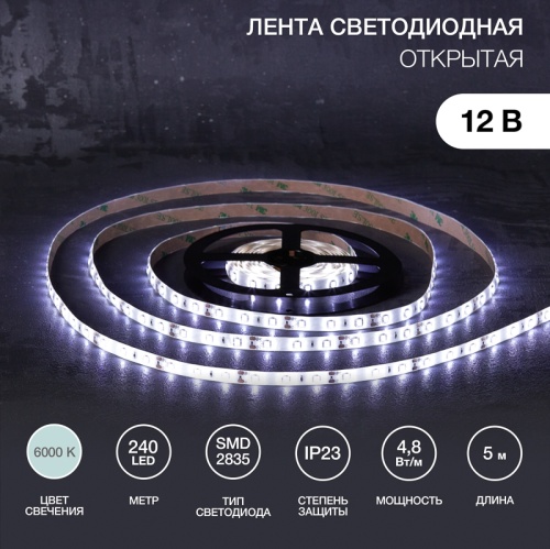 LED лента 12 В, 10 мм, IP23, SMD 2835, 240 LED/m, цвет свечения белый (6000 К) | код 141-211 | LAMPER