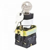 Переключатель NP2-BG21, 2 положения с фиксацией, 1НО IP40 (R)(CHINT) | код 573986 | CHINT