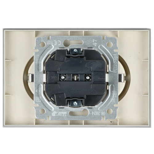 BRITE Розетка 2-местная с заземлением без защитных шторок 16А в сборе РС12-3-БрА алюминий | код BR-R21-16-K47-F | IEK фото 2 BRITE Розетка 2-местная с заземлением без защитных шторок 16А в сборе РС12-3-БрА алюминий | код BR-R21-16-K47-F | IEK фото 2