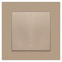 Переключатель Intro Accent 6-107-04 двойной, 10А-250В, IP20, СУ, AL/CU, шампань | код Б0063562 | ЭРА