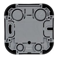 Розетка компьютерная RJ45 категория 5e UTP Legrand Quteo IP20 накладная чёрная матовая | код 782480 | Legrand