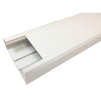 Короб 120х50 мм со съемной перегородкой, 2 метра, белый | код LAN-CT120x50-WH | LANMASTER
