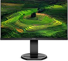 Монитор Philips 23.8 241B8QJEB (00/01) черный IPS LED 5ms 16:9 DVI HDMI M/M матовая HAS Piv 1000:1 250cd 178гр/178гр 1920x1080 75Hz VGA DP FHD USB 4.97кг | код 1159871 | PHILIPS