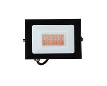 Прожектор светодиодный ФИТО LFL-3005 C02 30Вт черн. Camelion 15835