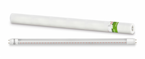 Лампа светодиодная LED-T8-ФИТО 20Вт 230В G13 1200мм IN HOME | код 4690612033778 | IN HOME