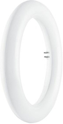 Лампа светодиодная LED Кольцевая SubstiTUBE T9 22 ,холодный белый свет, | код 4058075135468 | LEDVANCE