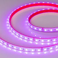 Лента LED герметичная RTW-PS-B60-12mm 24V RGB (14.4 W/m, IP67, 5060, 5m) (ARL, -) | код 021400(2) | Arlight