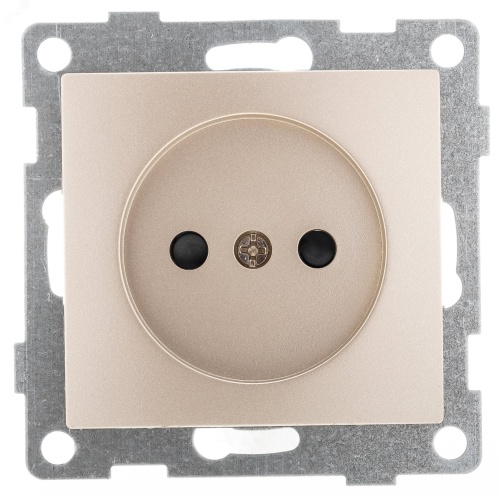 Bravo Розетка одинарная, без бокового заземляющего контакта, с защитой от проникновения, скрытая установка, 16А, 250В. шампань | код С10Р2-027 | GUSI ELECTRIC