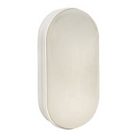 Светильник светодиодный ЖКХ овал ДПО-2004 8Вт 4000K IP65 PROxima | код BKL-2004-V-8-4000 | EKF