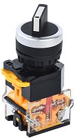 Переключатель D8-11X2 на 2 положения 1з+1р черный | код BSW30-11X2-3-24-2-K02 | IEK