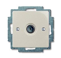 Basic 55 - Розетка TV простая 2400MHz (сл.кость, блистер) | код 1724-0-4280-00.00-02.01-01.00 | ABB