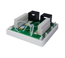 Компьютерная розетка 8P8C (RJ-45), UTP, Cat.5e, 2 порта | код 10-0309 | SUPRLAN
