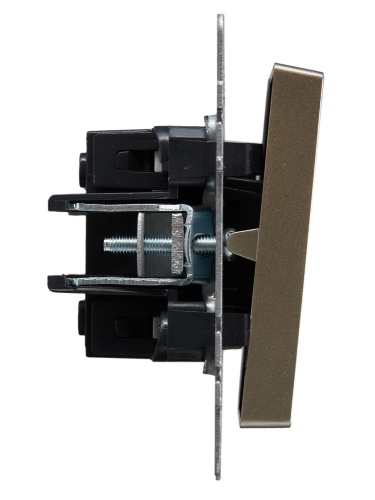 BRITE Выключатель 2-клавишный с индикацией 10А ВС10-2-1-БрШ шампань | код BR-V20-1-10-K37 | IEK фото 2