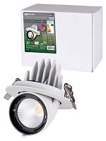 Светильник встраиваемый поворотный Акцент-1 LED DSL-01-030-NW 30 Вт, 24°, 4000 К, 90 Ra, IP40, TDM | код SQ0369-0404 | TDM