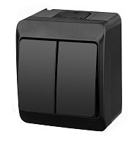 HERMES - Выключатель двухклавишный, 10A/250V, IP44, черный | код 0332-09 | Elektro-plast Nasielsk