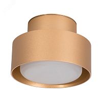 Светильник ДПО-12w GX53 без лампы IP44 золото | код HL367 48408 | FERON