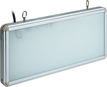 Светильник светодиодный 61 506 NEF-04 (без нанесения) аварийный Navigator 61506