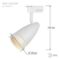 Светильник трековый TR49 - GU10 WH однофазный под лампу GU10 матовый белый под лампу GX53, под лампу GU10, лампа в комплект не входит | код Б0054161 | ЭРА